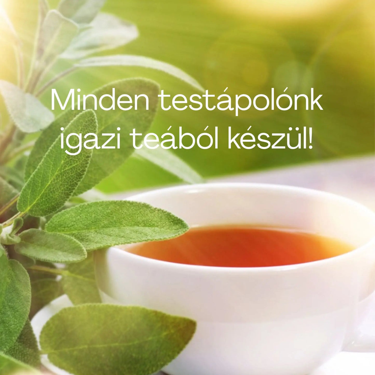Álomhozó Testápoló Tej