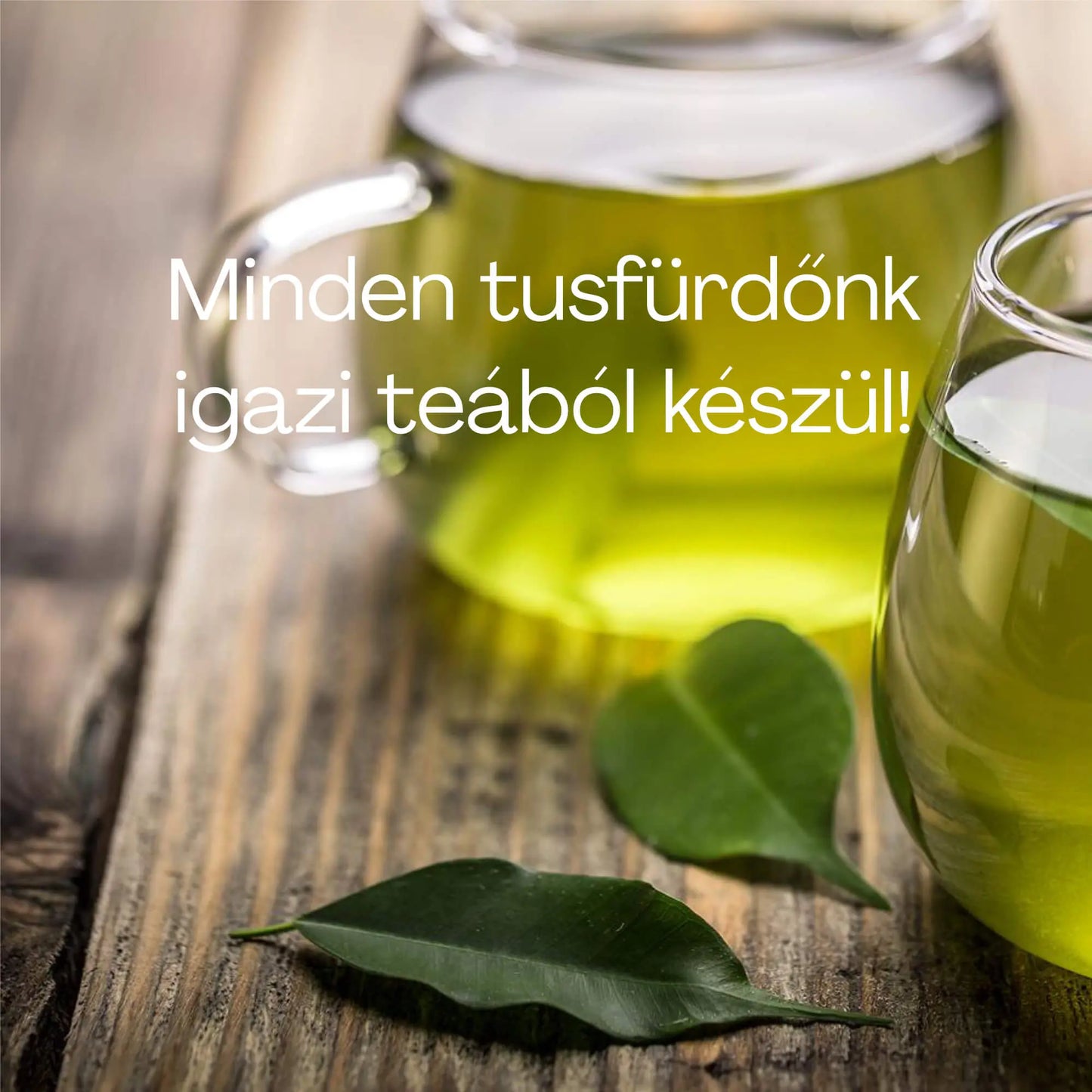 Álomhozó Tusfürdő